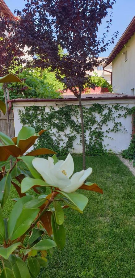 מלון Năvodari Casa Mir מראה חיצוני תמונה