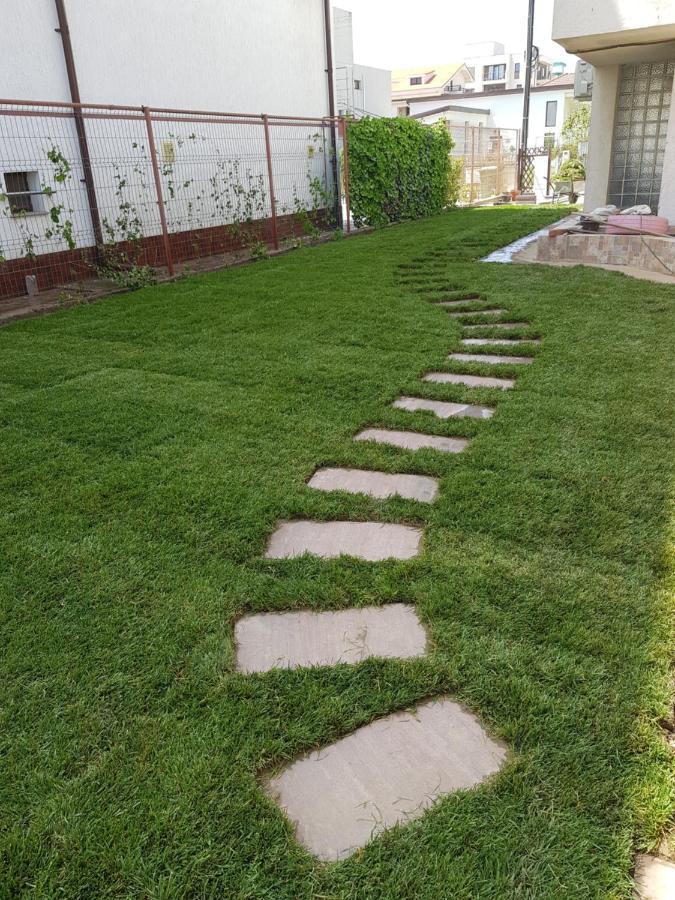 מלון Năvodari Casa Mir מראה חיצוני תמונה